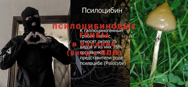 твердый Верея