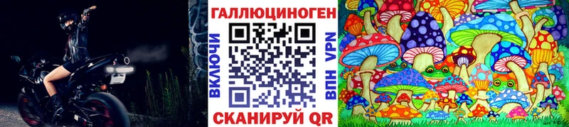 Галлюциногенные грибы мицелий  как найти   Любим 